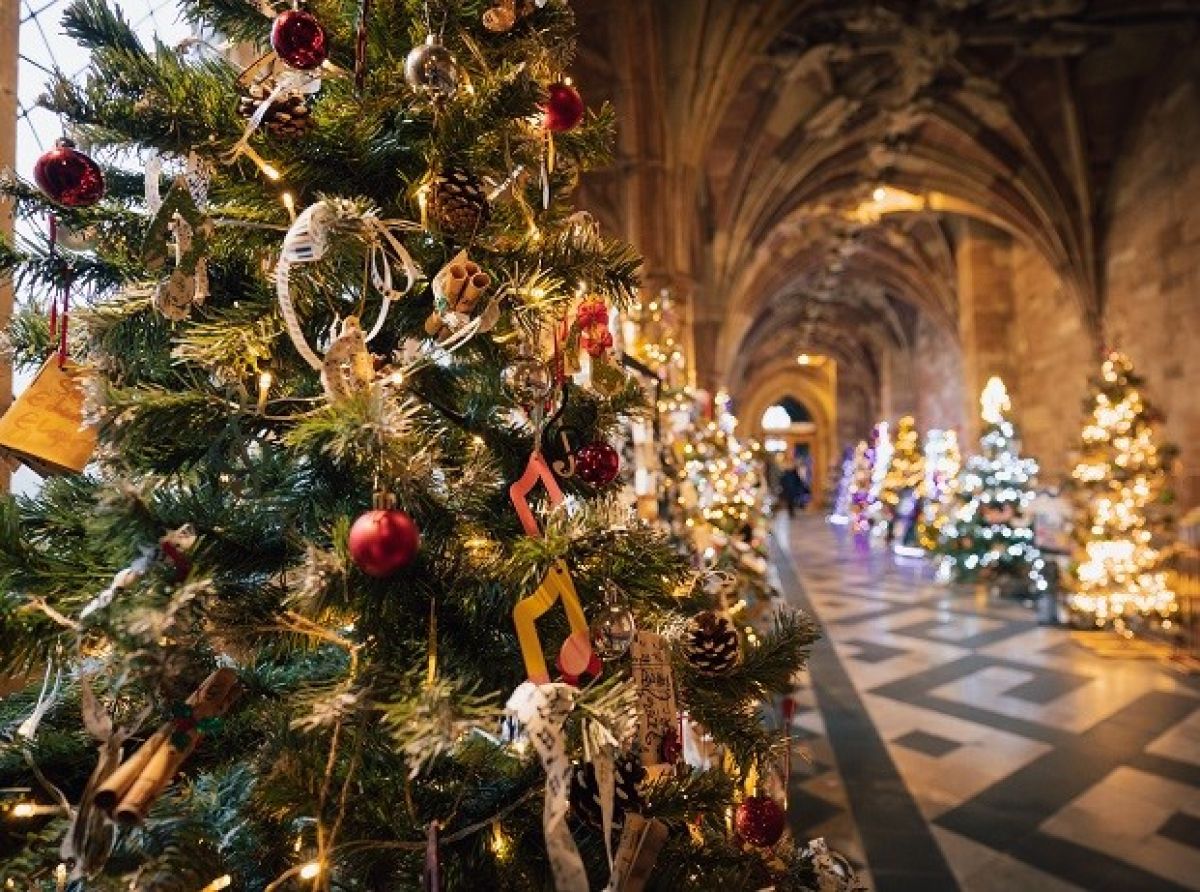 BBC to Shine a Spotlight on Worcester Cathedral’s Christmas Tree Festival 2026